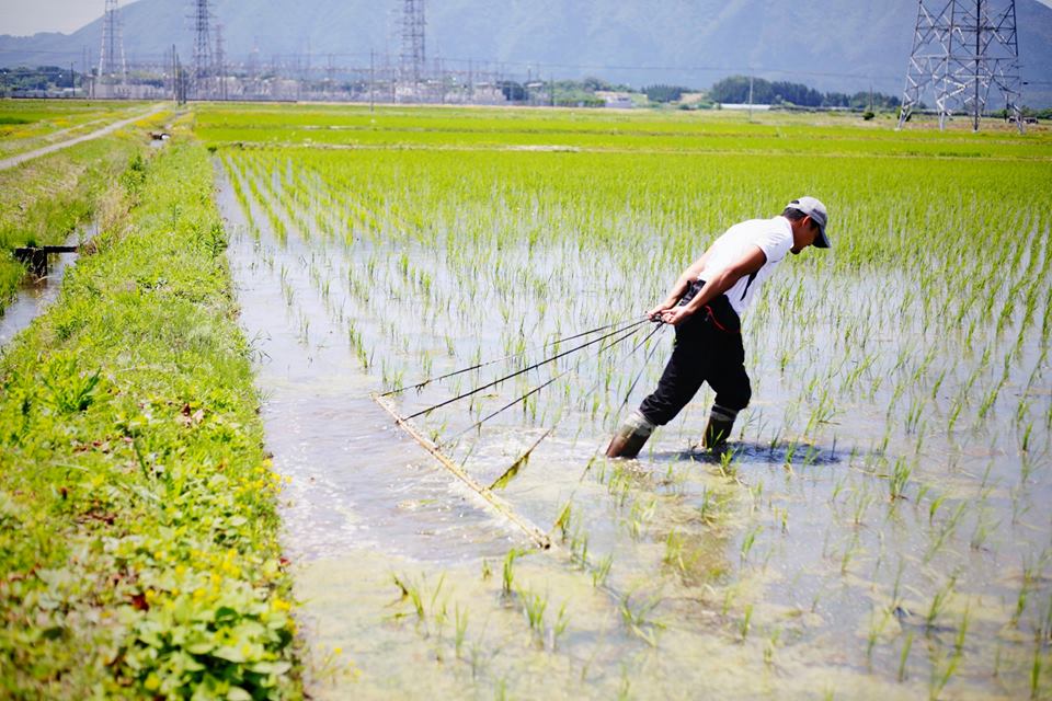 2015チェーン除草